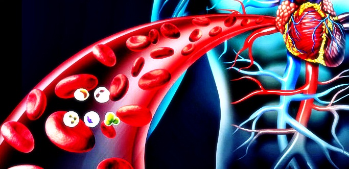 Neutrophils images