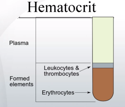Hematocrit – Normal Levels, Low and High