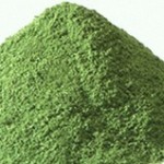 Moringa Powder Benefits
