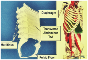 Diaphragm Pain – Treatment, Causes, Symptoms